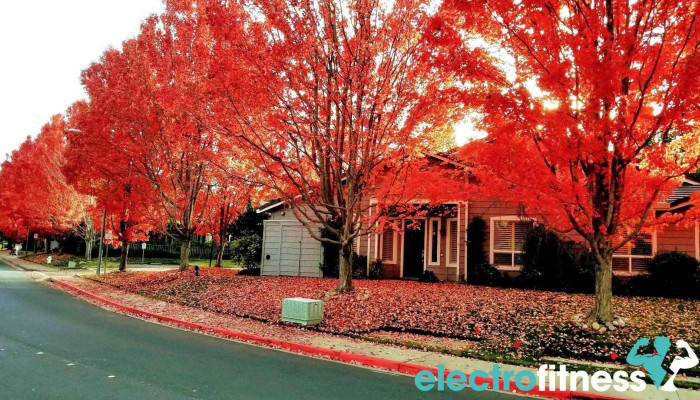 Tice Creek Fitness Center at Rossmoor - Walnut Creek
