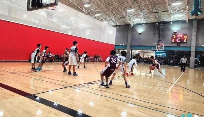 Tice Valley Community Gym - Walnut Creek