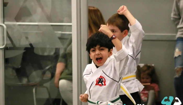 Tiger -  Rock Martial Arts Of Lone Tree Martial Art - Lone Tree