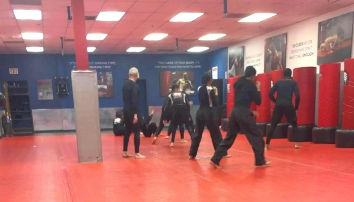 Tiger Schulmanns Martial Arts Allentown Pa Allentown - Allentown