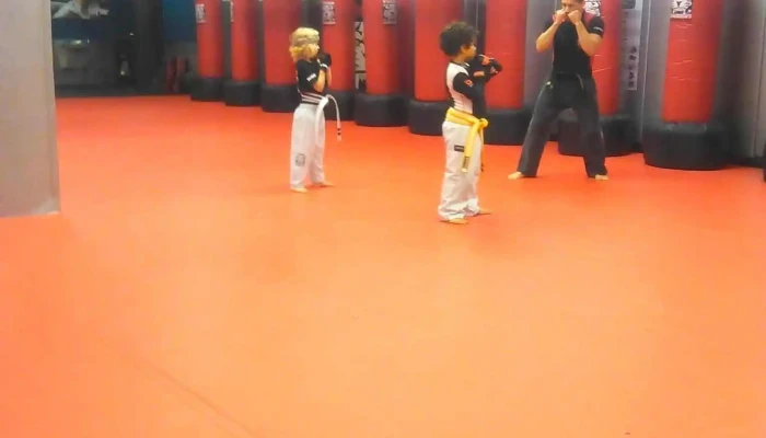 Tiger Schulmanns Martial Arts Allentown Pa Martial Art - Allentown