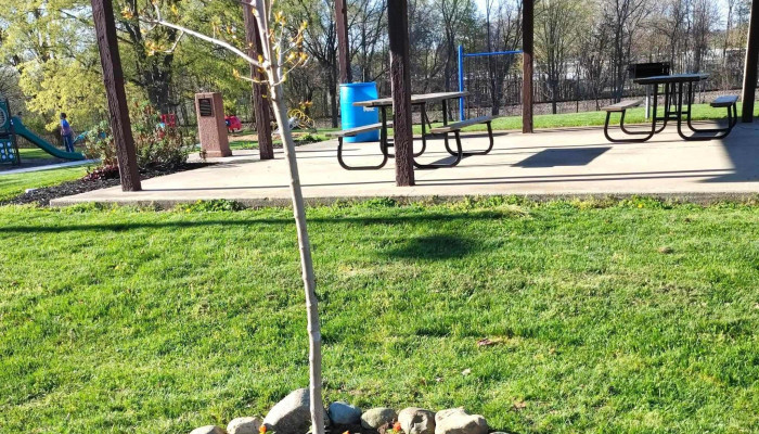 Town of Andrews Public Park - Andrews