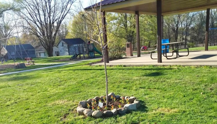 Town Of Andrews Public Park -  Park - Andrews