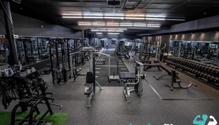 Transform Gym -  All - Arvada
