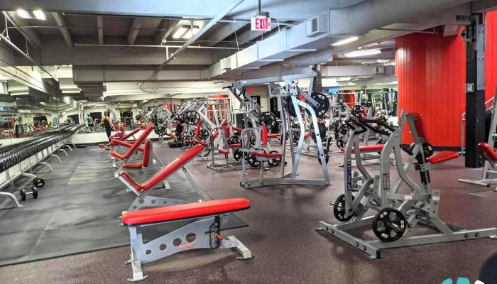 Ufc Gym Concord -  Exercise Machine - Concord