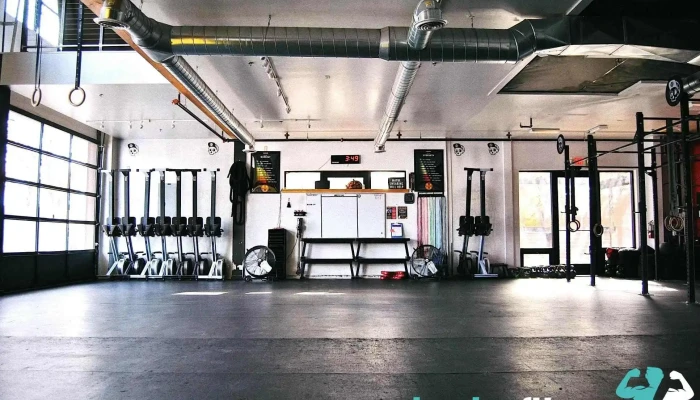 Undisputed Fitness -  Gym - Santa Fe
