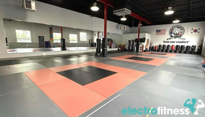 United Black Belt Academy Allendale -  All - Allendale