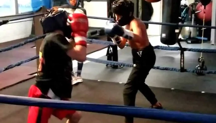 Universal Athletics Fitness Center Llc Training - Allentown