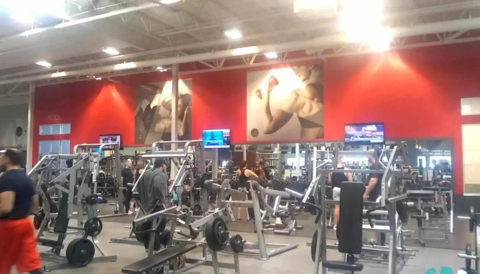 Vasa Fitness -  Exercise Machine - Centennial