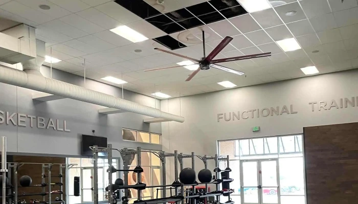 Vasa Fitness -  Near Me - Westminster