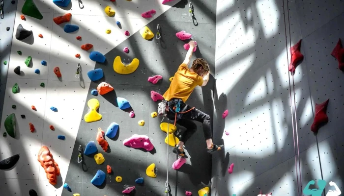 Vertical View Climbing Gym -  By Owner - Meridian