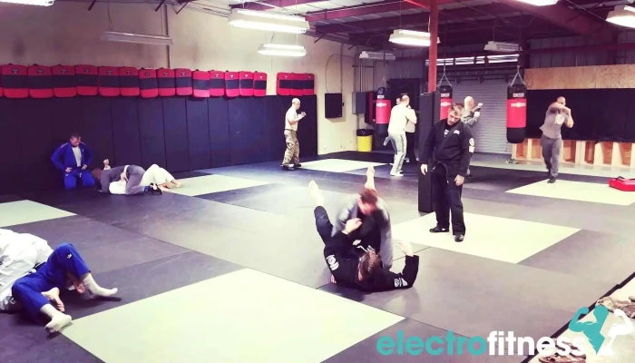 Vigilance Combatives Llc -  Martial Art - Aberdeen
