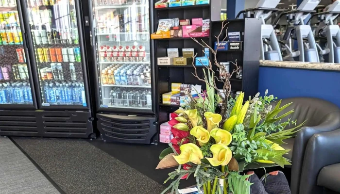 Vim Vigor Fitness Promotion - Campbell