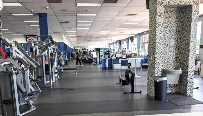 Vim Vigor Fitness Videos - Campbell