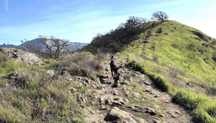 Walnut Creek Open Space -  Mountain - Walnut Creek