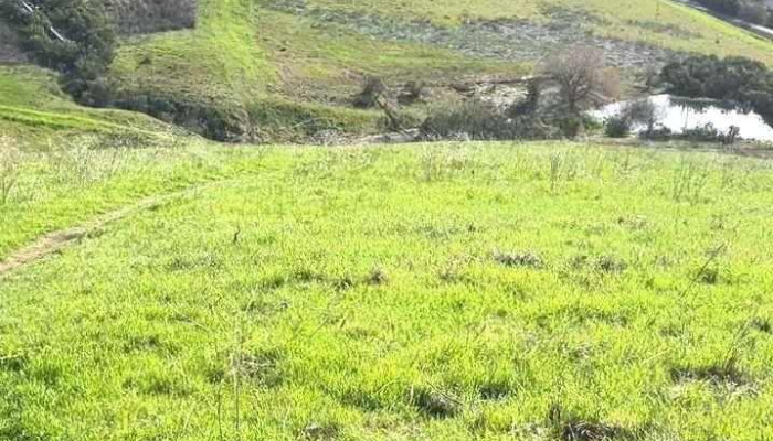 Walnut Creek Open Space -  Videos - Walnut Creek