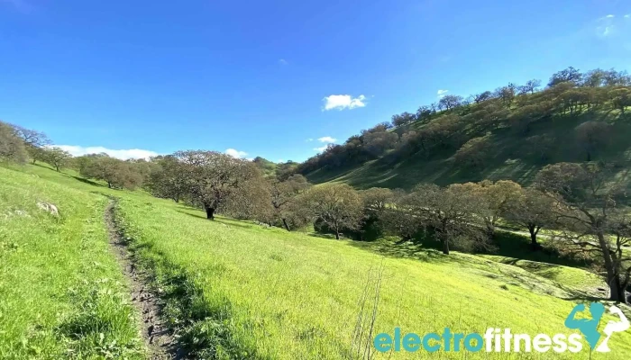 Walnut Creek Open Space - Walnut Creek