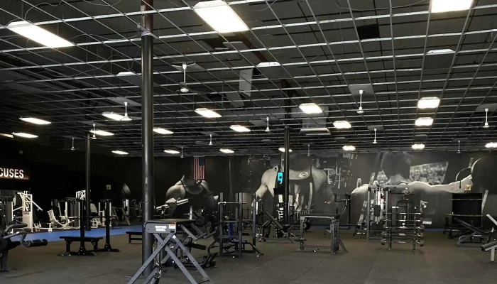 Warhouse Strength -  Phone - Reading