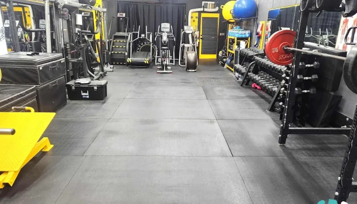 Watch Me Flex Fitness -  Physical Fitness - Hyattsville