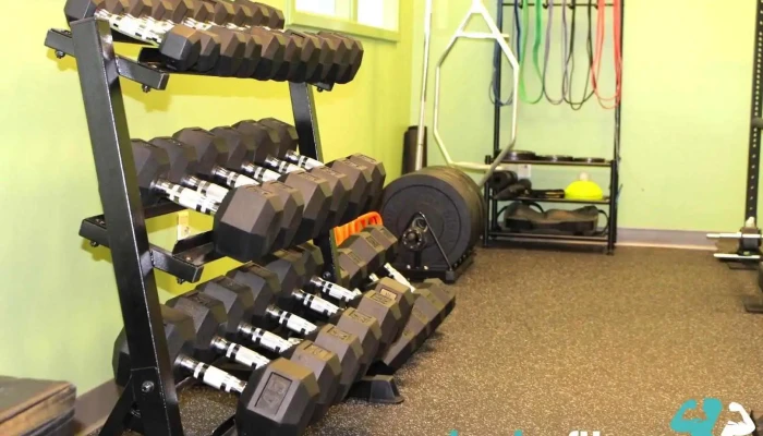 Wellfound Physical Therapy and Fitness - Williston