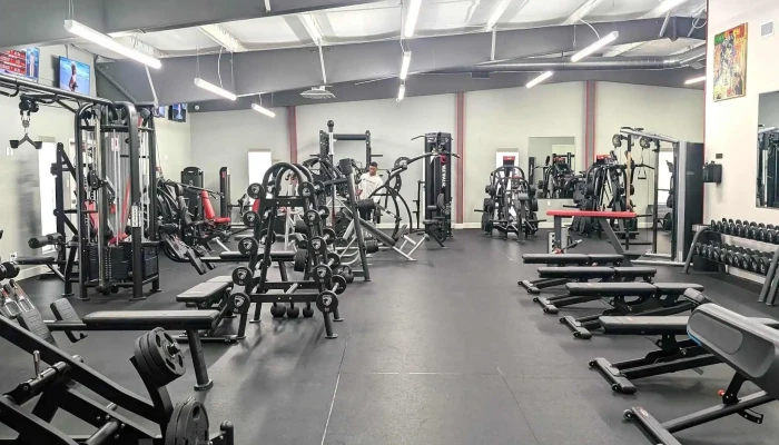 Wellness Elite Fitness & Recovery Spa - Friendswood