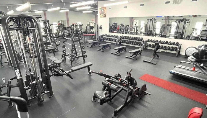 Wellness Elite Fitness Recovery Spa Website - Friendswood