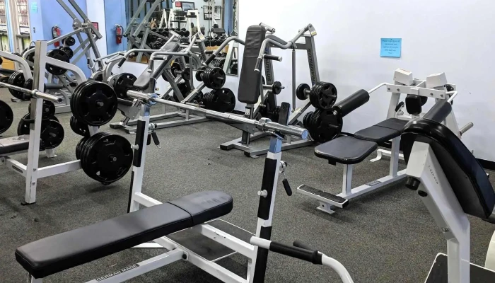 Wellness For Life Fitness Center Llc Catalog - Laurel