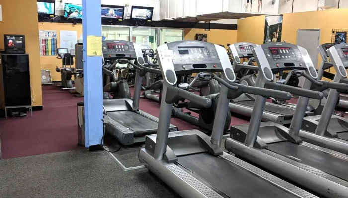Wellness For Life Fitness Center Llc Schedule - Laurel