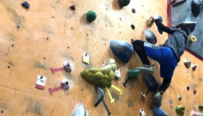 Wild Walls Climbing Gym -  Number - Spokane