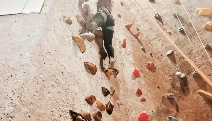 Wild Walls Climbing Gym -  Website - Spokane