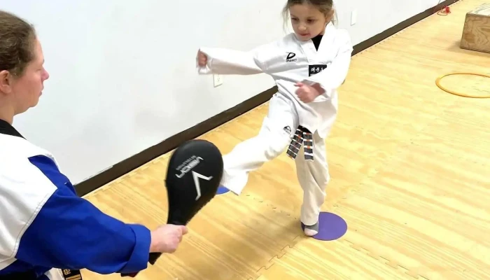 World Taekwondo Academy Annandale -  Martial Art - Annandale