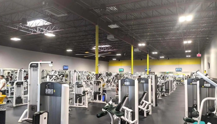 Wow Work Out World Of New Bedford All - New Bedford