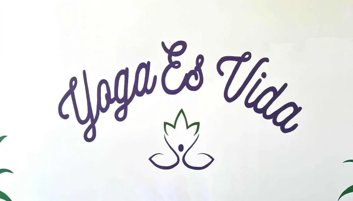 Yoga Es Vida -  Phone - New Bedford