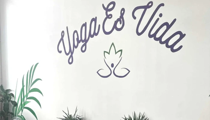 Yoga Es Vida -  Yoga Studio - New Bedford
