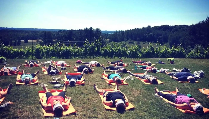 Yoga In The Vines Traverse City -  All - Traverse City