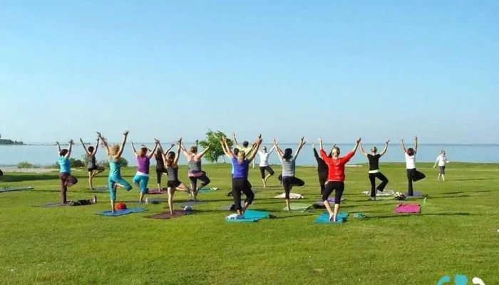 Yoga Roots And Healing Arts -  All - Petoskey