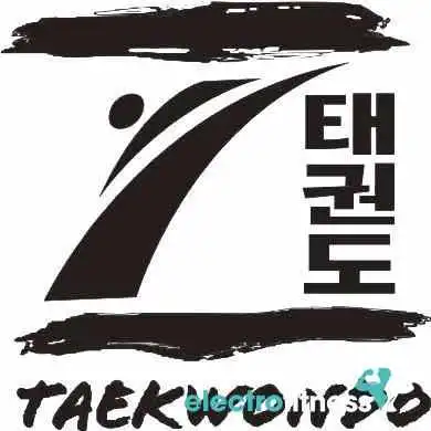 Z Tae Kwon Do -  By Owner - Santa Clarita