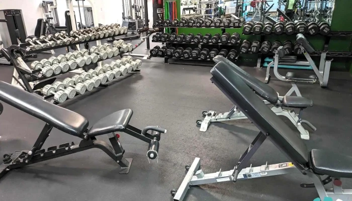 Zen 24 Hour Fitness Center Llc -  All - Alpena
