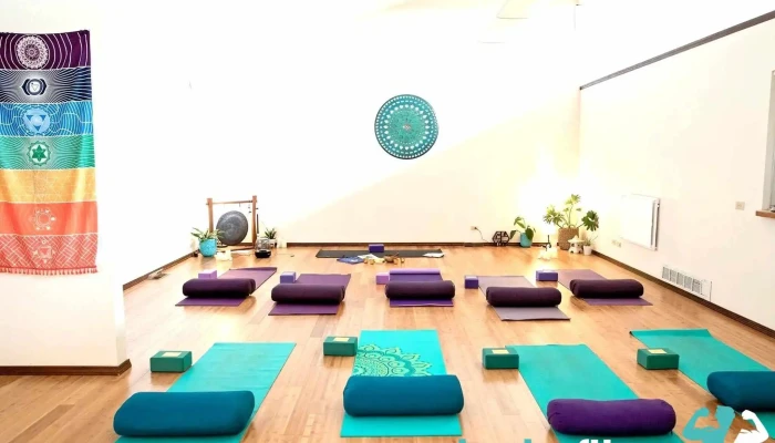 Zen Riot Yoga Wellness Studio All - Boise