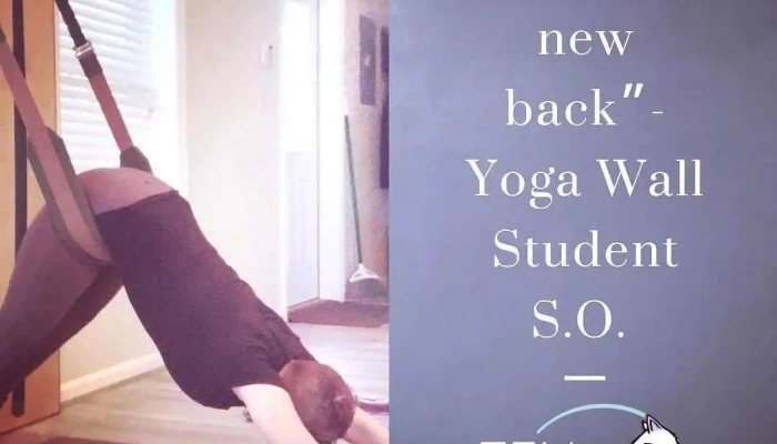 Zen Squirrel -  Yoga - Reinholds