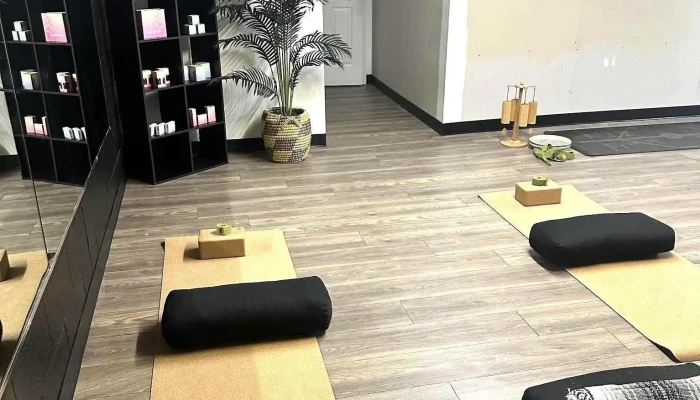 Zen Well Studio -  All - White Plains