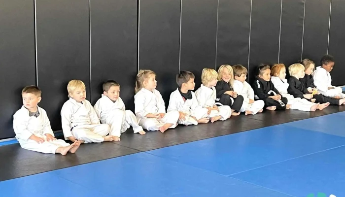 Zombie Brazilian Jiu -  Jitsu And Mma Community - Abilene