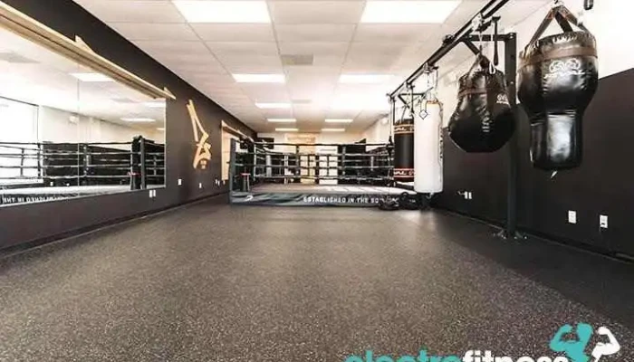 Zs Boxing Gym All - Annandale